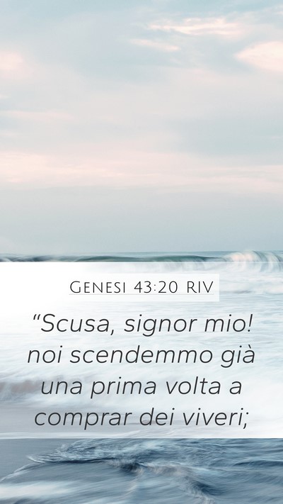 Genesi 43:20 RIV Bible Verse Image