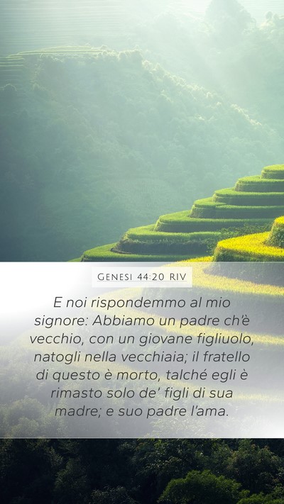 Genesi 44:20 RIV Bible Verse Image