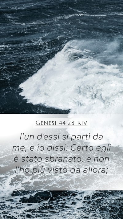 Genesi 44:28 RIV Bible Verse Image