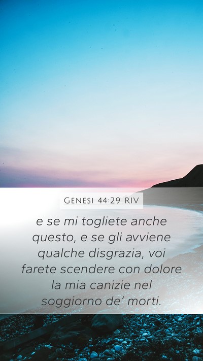 Genesi 44:29 RIV Bible Verse Image