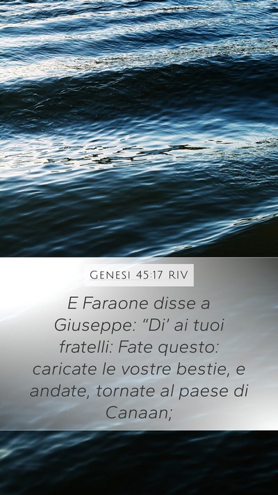 Genesi 45:17 RIV Mobile Phone Wallpaper - E Faraone disse a Giuseppe: “Di’ ai tuoi - Mobile Bible Verse Wallpaper