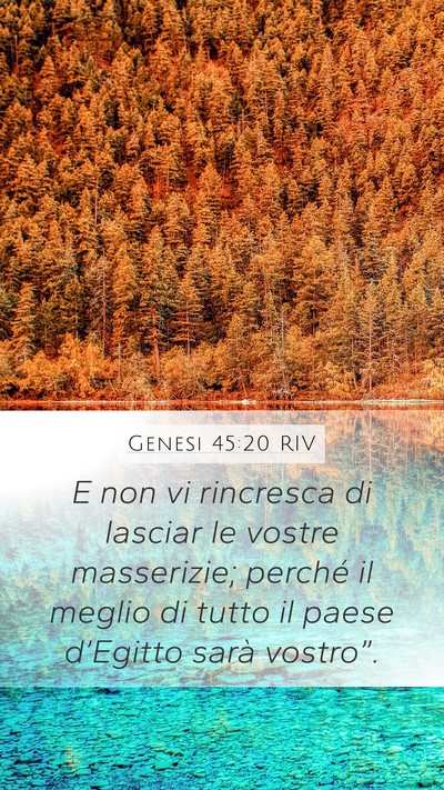 Genesi 45:20 RIV Mobile Phone Wallpaper - E non vi rincresca di lasciar le vostre - Mobile Bible Verse Wallpaper
