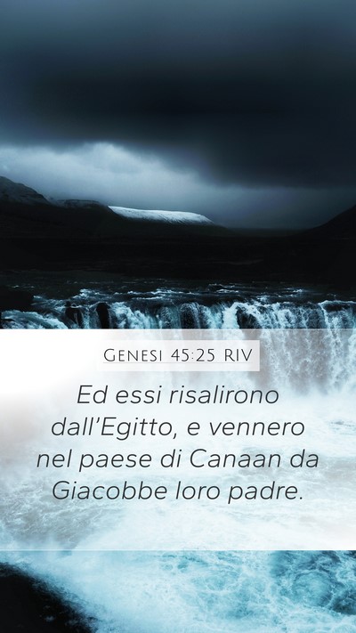 Genesi 45:25 RIV Mobile Phone Wallpaper - Ed essi risalirono dall’Egitto, e vennero nel - Mobile Bible Verse Wallpaper