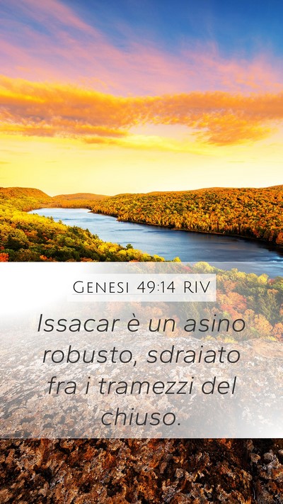 Genesi 49:14 RIV Bible Verse Image