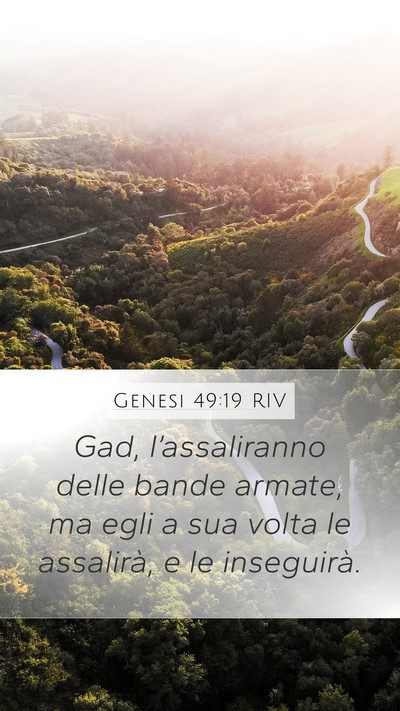 Genesi 49:19 RIV Bible Verse Image
