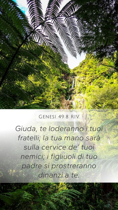 Genesi 49:8 RIV Bible Verse Image