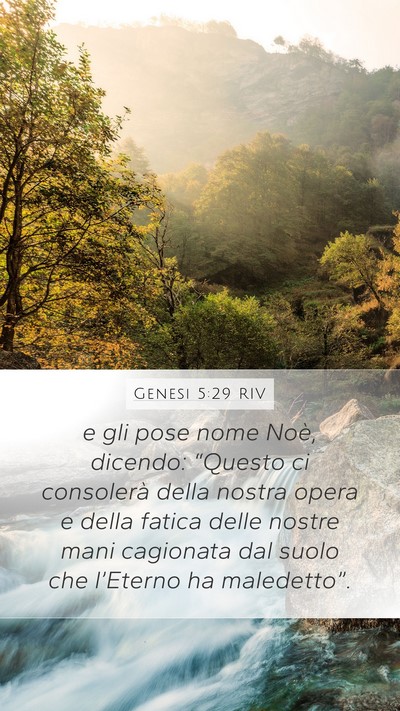 Genesi 5:29 RIV Bible Verse Image