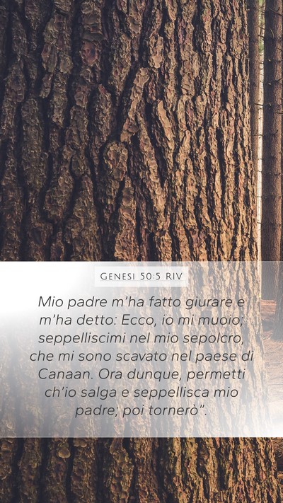 Genesi 50:5 RIV Bible Verse Image