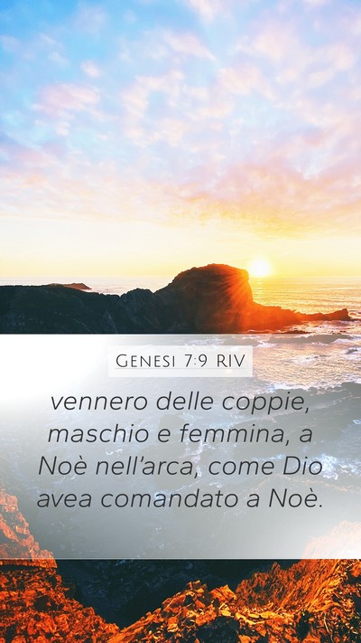Genesi 7:9 RIV Mobile Phone Wallpaper - vennero delle coppie, maschio e femmina, a Noè - Mobile Bible Verse Wallpaper
