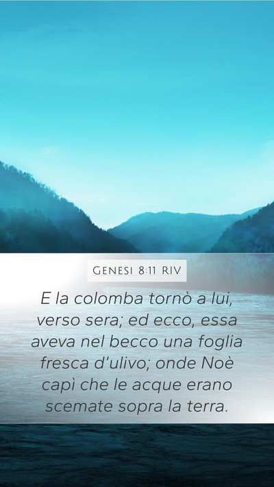 Genesi 8:11 RIV Mobile Phone Wallpaper - E la colomba tornò a lui, verso sera; ed ecco, - Mobile Bible Verse Wallpaper