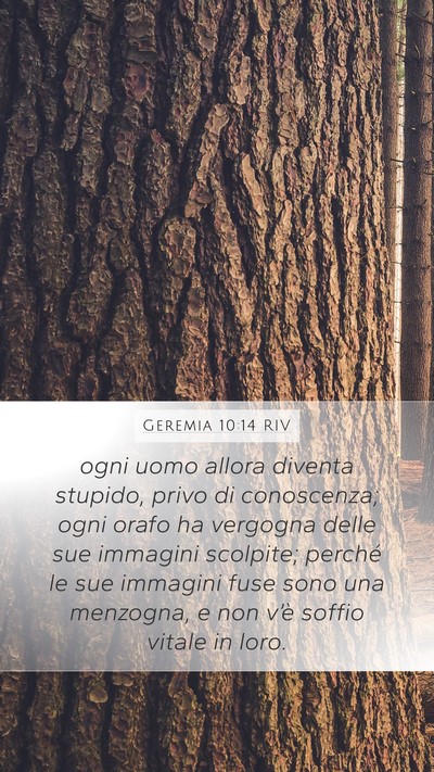 Geremia 10:14 RIV Bible Verse Image
