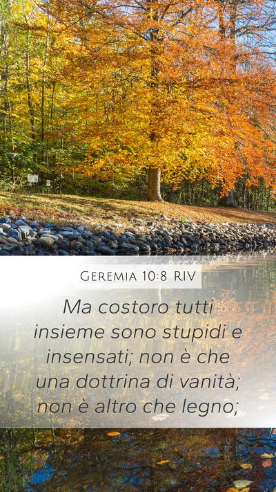 Geremia 10:8 RIV Bible Verse Image