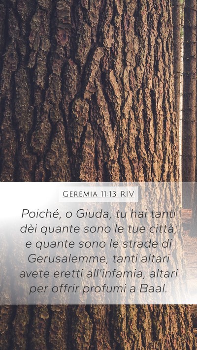Geremia 11:13 RIV Bible Verse Image