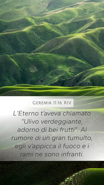 Geremia 11:16 RIV Bible Verse Image