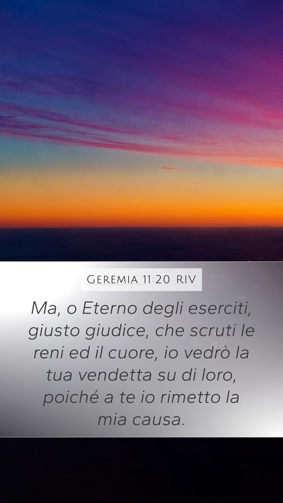 Geremia 11:20 RIV Bible Verse Image