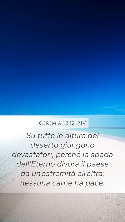 Geremia 12:12 RIV Bible Verse Image