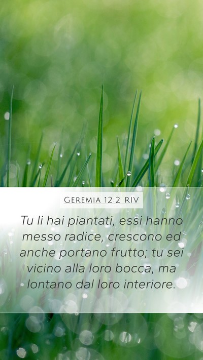 Geremia 12:2 RIV Bible Verse Image