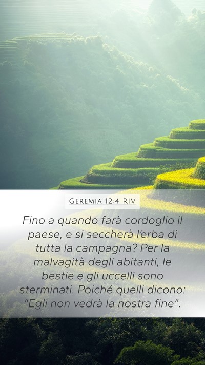 Geremia 12:4 RIV Bible Verse Image