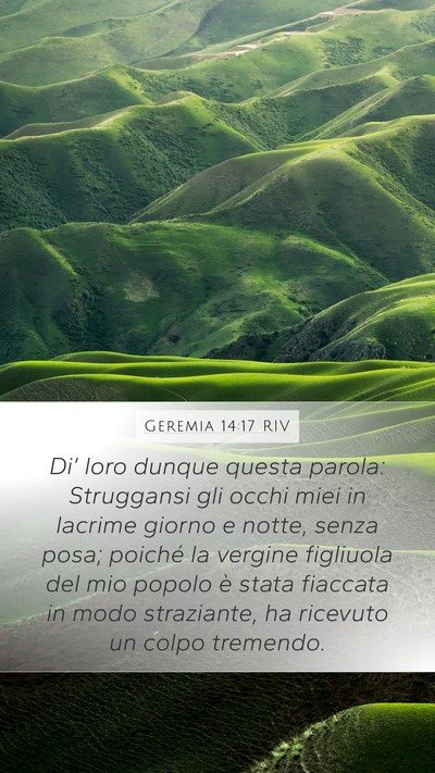 Geremia 14:17 RIV Bible Verse Image
