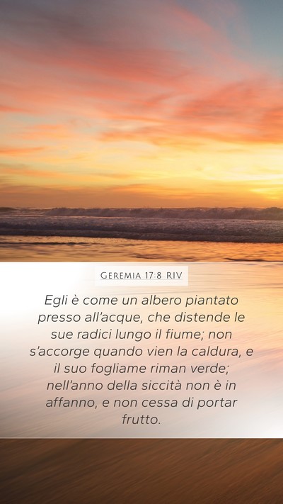 Geremia 17:8 RIV Bible Verse Image