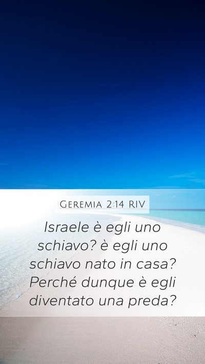 Geremia 2:14 RIV Mobile Phone Wallpaper - Israele è egli uno schiavo? è egli uno schiavo - Mobile Bible Verse Wallpaper