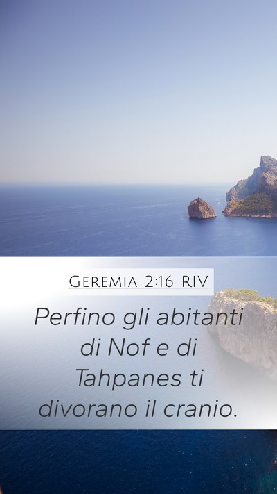 Geremia 2:16 RIV Bible Verse Image