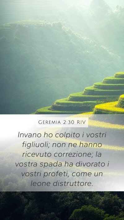 Geremia 2:30 RIV Bible Verse Image
