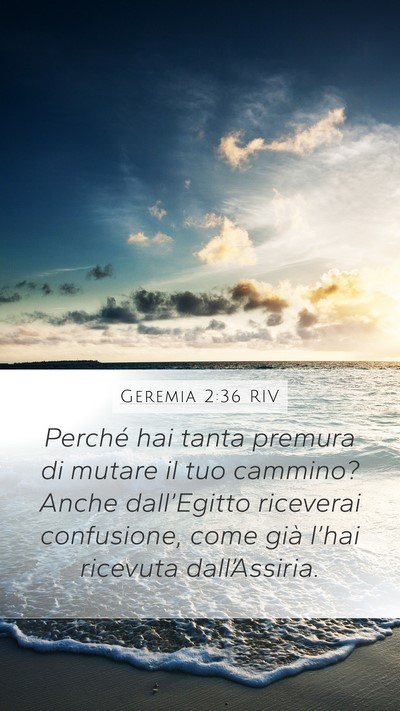 Geremia 2:36 RIV Bible Verse Image