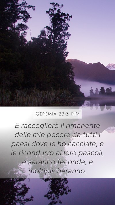 Geremia 23:3 RIV Bible Verse Image