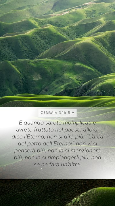 Geremia 3:16 RIV Bible Verse Image