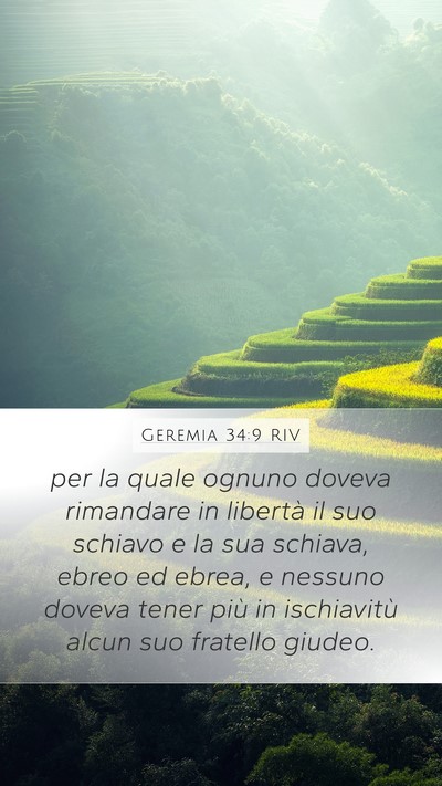 Geremia 34:9 RIV Mobile Phone Wallpaper - per la quale ognuno doveva rimandare in libertà - Mobile Bible Verse Wallpaper