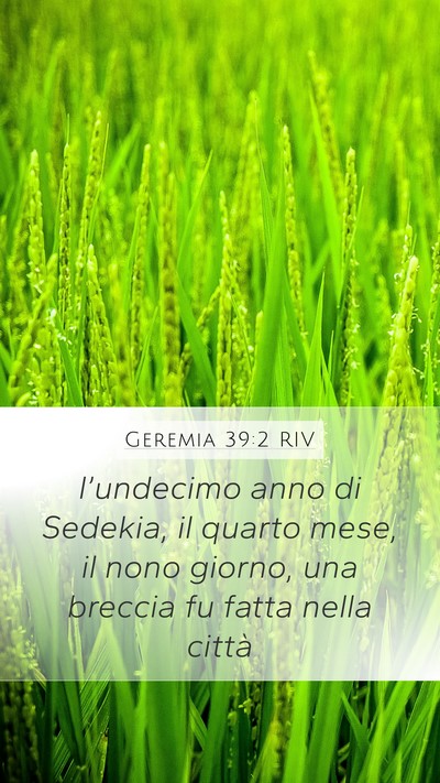 Geremia 39:2 RIV Bible Verse Image