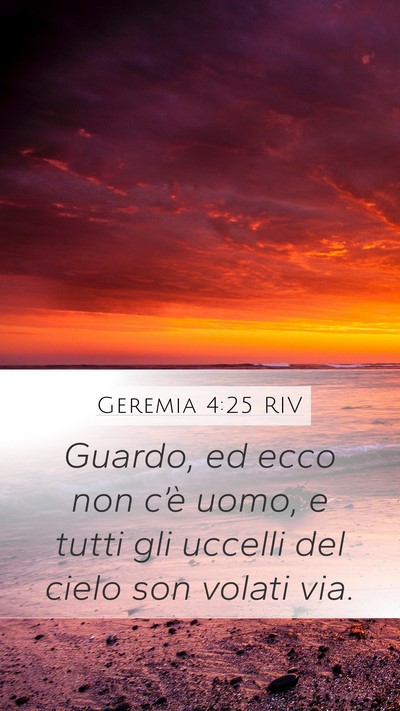Geremia 4:25 RIV Bible Verse Image