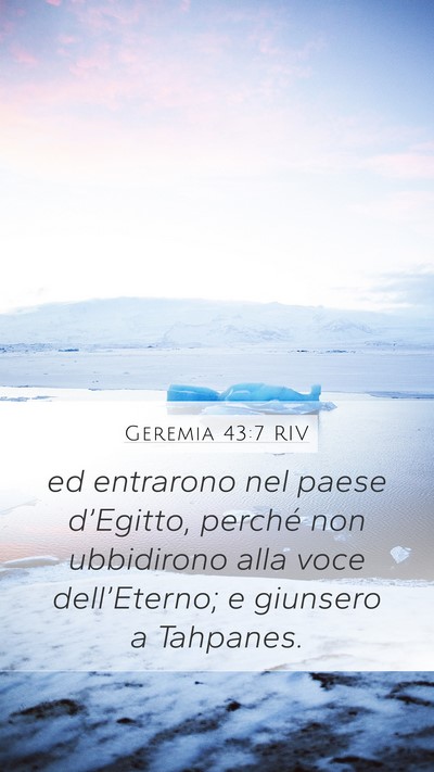 Geremia 43:7 RIV Bible Verse Image