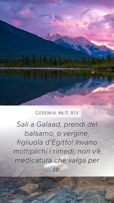 Geremia 46:11 RIV Bible Verse Image