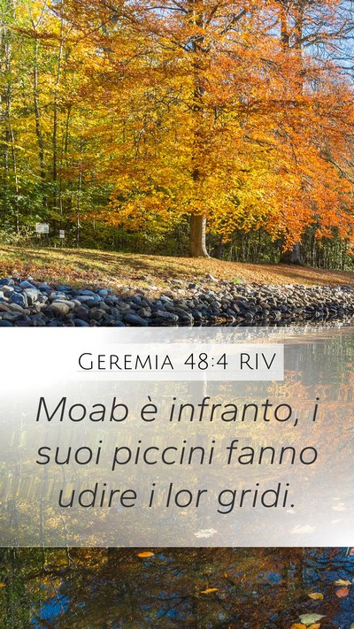 Geremia 48:4 RIV Bible Verse Image