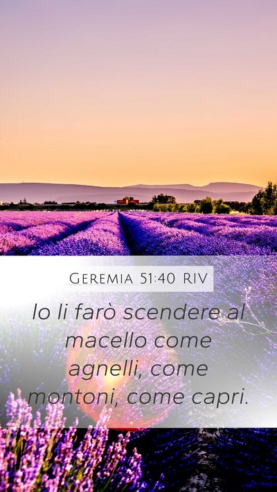 Geremia 51:40 RIV Bible Verse Image