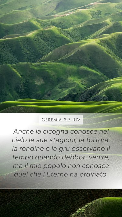 Geremia 8:7 RIV Bible Verse Image