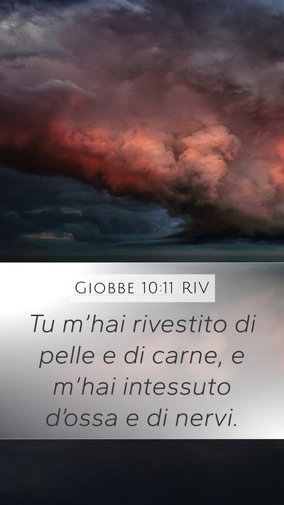Giobbe 10:11 RIV Mobile Phone Wallpaper - Tu m’hai rivestito di pelle e di carne, e - Mobile Bible Verse Wallpaper