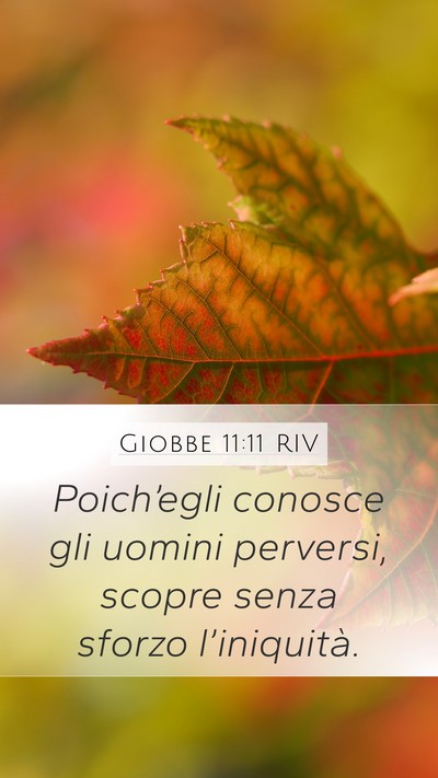 Giobbe 11:11 RIV Bible Verse Image