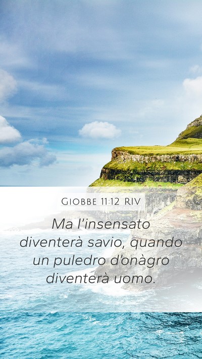 Giobbe 11:12 RIV Bible Verse Image