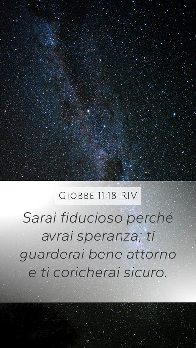 Giobbe 11:18 RIV Bible Verse Image