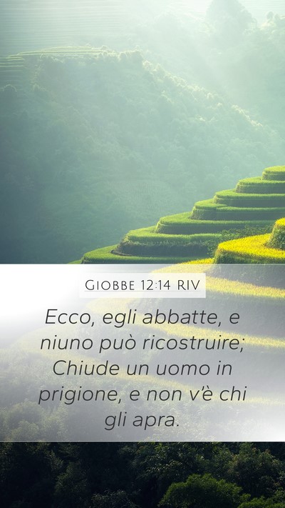 Giobbe 12:14 RIV Bible Verse Image