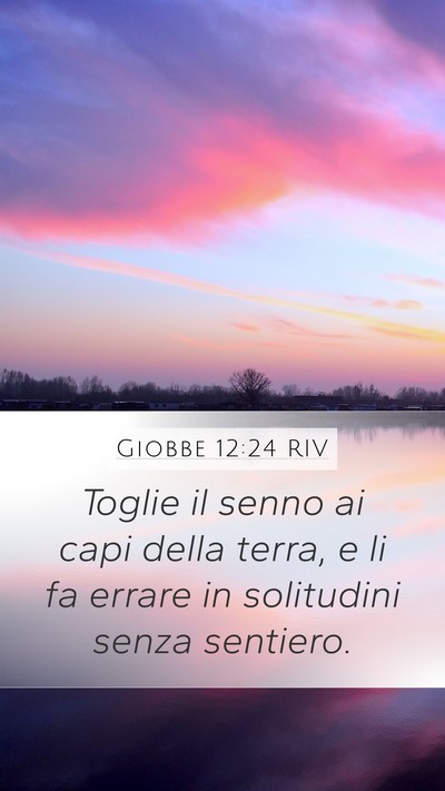 Giobbe 12:24 RIV Bible Verse Image