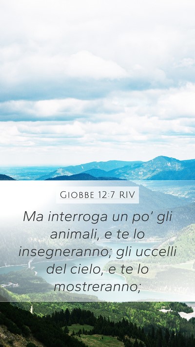 Giobbe 12:7 RIV Bible Verse Image