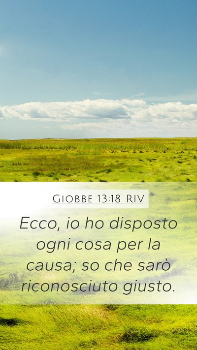 Giobbe 13:18 RIV Bible Verse Image