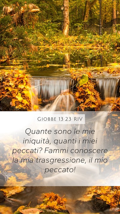 Giobbe 13:23 RIV Bible Verse Image