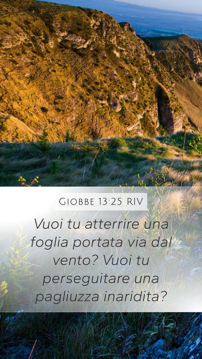 Giobbe 13:25 RIV Bible Verse Image