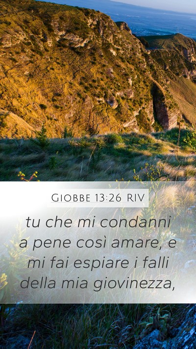 Giobbe 13:26 RIV Bible Verse Image