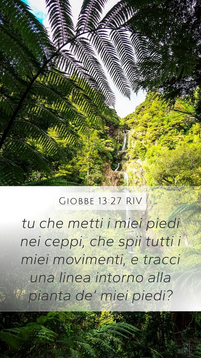 Giobbe 13:27 RIV Bible Verse Image